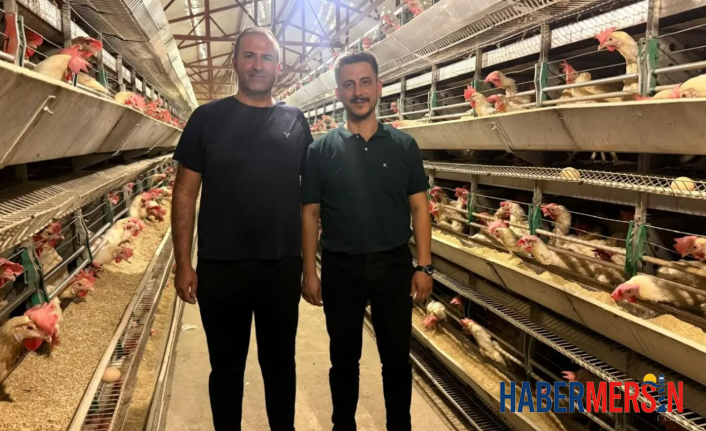 Mut'ta Üretime Tam Destek: Ahmet Hüsrev Demir'den Tavuk Çiftliği Ziyareti
