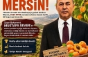Mersin Kayısıda Malatya’yı Geçti mi? "KPSS...