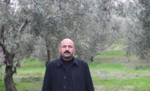 Mut Zeytin Üreticilerinin Çözüm Çağrısı: "Zeytin Borsası Kurulmalı!"