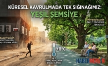 Beton Kentler Kavruluyor. Uzmanlar "Yeşil Altyapı" İçin Alarm Veriyor!