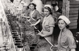 8 Mart Dünya Emekçi Kadınlar Günü’nün Hikayesi: Direnişten Bugüne