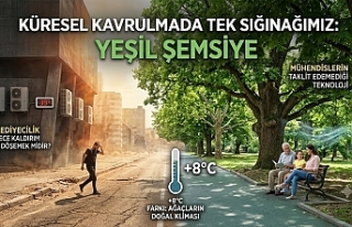 Beton Kentler Kavruluyor. Uzmanlar "Yeşil Altyapı"...