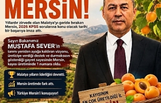 Mersin Kayısıda Malatya’yı Geçti mi? "KPSS...