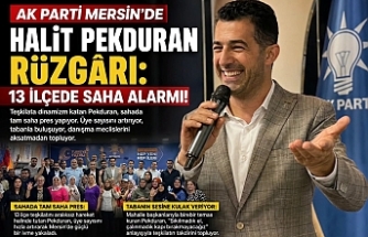 AK Parti Mersin Teşkilatında Halit Pekduran Rüzgarı: 13 İlçede Tam Saha Mesaisi