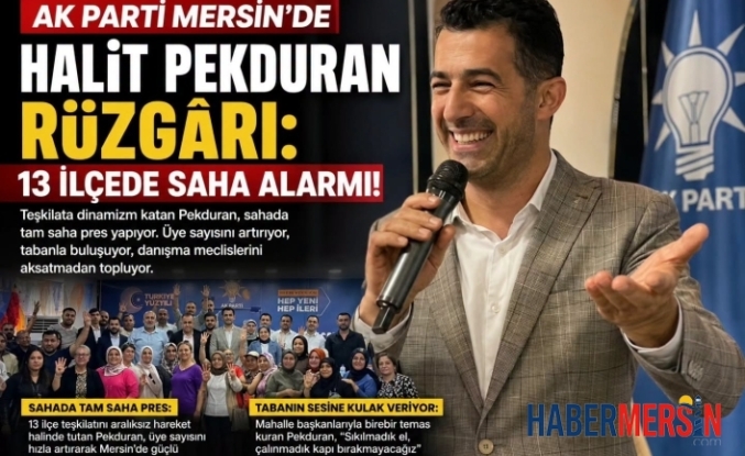 AK Parti Mersin Teşkilatında Halit Pekduran Rüzgarı: 13 İlçede Tam Saha Mesaisi