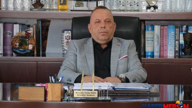 Başkan özelden zeytin fiyatına tepki